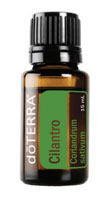 cilantro essential oil coriandrum sativum aromatherapy oil