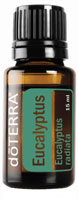 eucalyptus essential oil aromatherapy oil eucalyptus radiata
